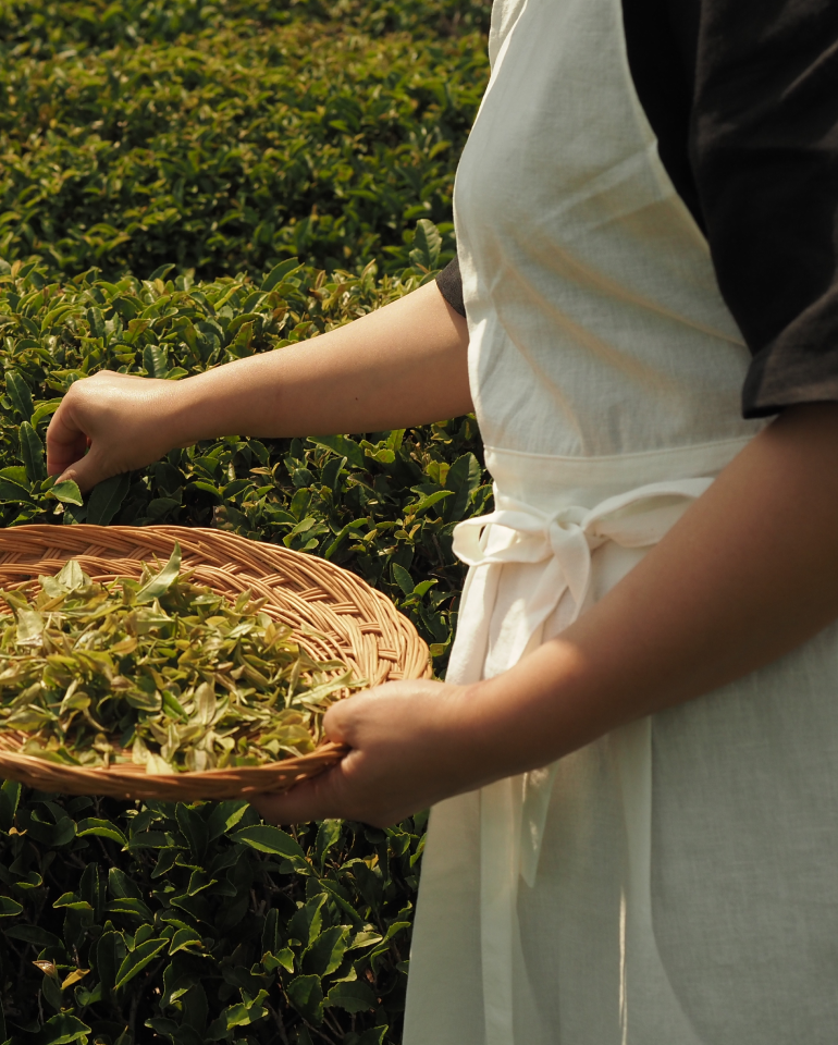 Angang tea world